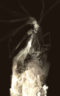 Smoke - still image