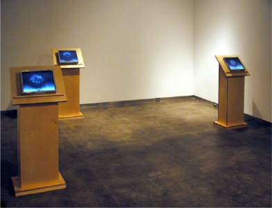 Installation view of Sacred Code show at bitforms gallery